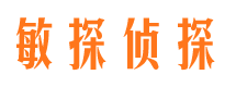 龙岗市婚外情调查